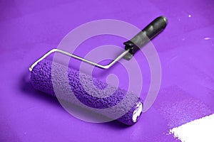 Paint Roller on Painter Surface