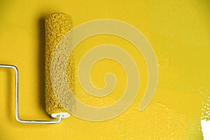 Paint Roller on White Wall