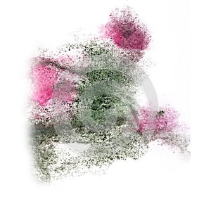 Paint splash ink marsh, pink blot and white abstract art brush