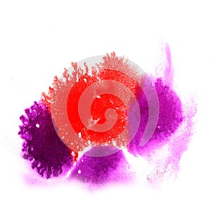 Paint splash ink pink, red, purple blot and white abstract art