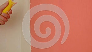 paint the walls in peach color with a roller, refurbishment in the room