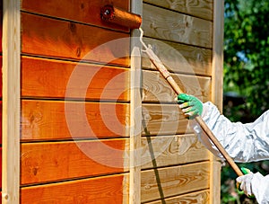 Paint wooden wall with roller brush in orange color by  painter in working clothes