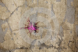 Paintball background