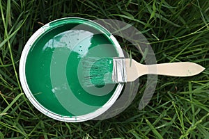 Brush on the green paint can in high grass, close-up