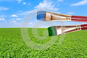 Paintbrushes on agrarian field under blue sky