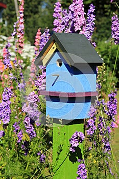 Painted Birdhouse photo