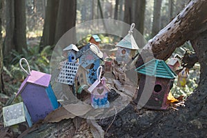 Painted birdhouses in Redwood Park in South Surrey