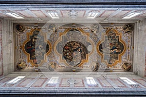 Painted ceiling photo