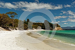 Painted Cliffs, Maria Island, Tasmania, national reservation, Australia