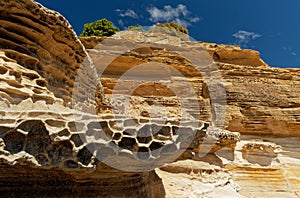 Painted Cliffs, Maria Island, Tasmania, national reservation, Australia