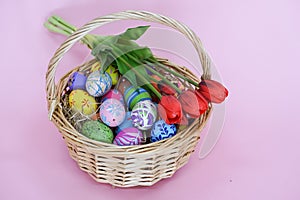 THe painted colorful Easter egg in the basket on the pink background copyspace