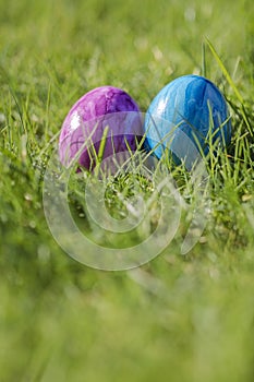 Painted decorated colorful Easter eggs in Fresh Green Grass with copy space, spring Happy Easter concept. Beautiful