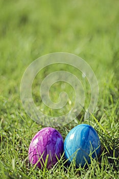 Painted decorated colorful Easter eggs in Fresh Green Grass with copy space, spring Happy Easter concept. Beautiful