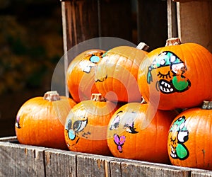 Painted decorative organic pumpkins in a market