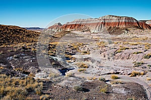 Painted Desert