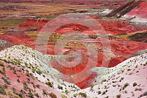 Painted desert