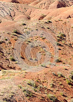 Painted Desert