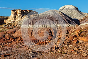 Painted Desert Badlands Petrified Forest National Park