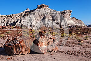 Painted Desert Badlands Petrified Forest