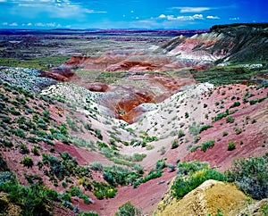 Painted Desert