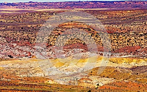 Painted Desert Yellow Grass Lands Orange Sandstone Red Fiery Fur