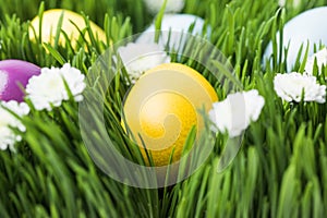 Painted in different colors easter eggs on grass
