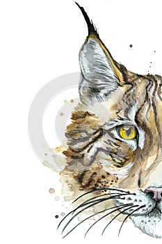 Painted drawing watercolor animal predator lynx
