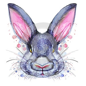 Painted drawing with watercolor portrait of an animal mammal rabbit hare in bright colors