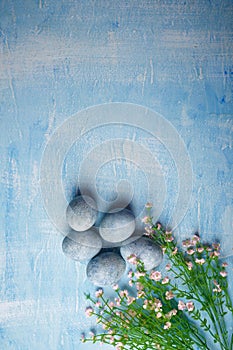 Painted Easter eggs on blue background with pink flowers. Spring holiday symbol. Top view, copy space. Vertical shot