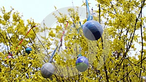 Painted Easter eggs decorate the branches of a bush blooming with yellow spring flowers