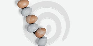 Painted Easter eggs gray, beige colored in row on white background with copy space. Chicken egg natural pastel shades