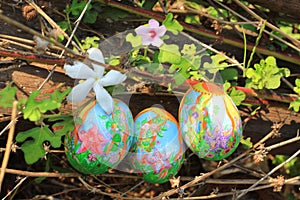 Painted Easter eggs hidden on the grass, ready for the easter egg hunt traditional play game