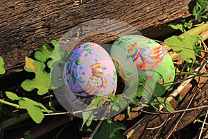 Painted Easter eggs hidden on the grass, ready for the easter egg hunt traditional play game