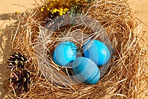 Painted Easter eggs in a nest of straw. Easter still life
