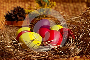 Painted Easter eggs in a nest of straw. Easter still life