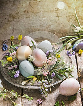 Painted Easter eggs in pastel colors with herbs on light rustic backdrop