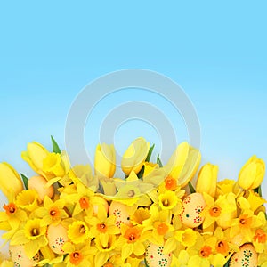 Painted Easter Eggs Springtime Flower Background Decoration