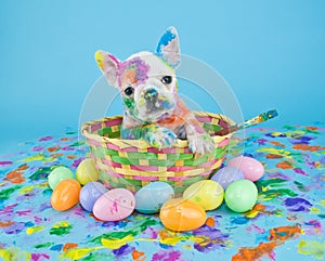 Painted Easter Puppy