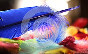 Painted Feathers photo