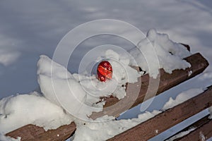Colorful beautiful Easter egg in the snow