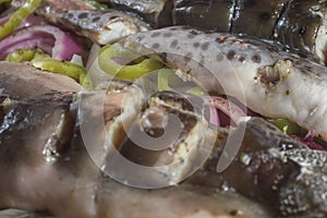 painted fish and catfish on a plate with vegetables and seasoning, selective focus and copy space" Siluriformes