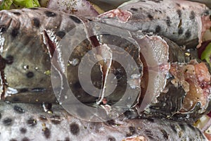 painted fish and catfish on a plate with vegetables and seasoning, selective focus and copy space & x22; Siluriformes& x22;