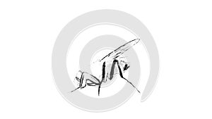 Painted fly. Fly on a white background. Vector fly. Harmful insects.