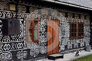 Painted Folk House