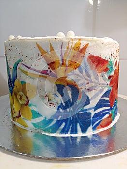 Painted  foundant cake