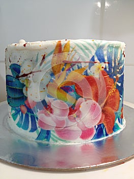 Painted  foundant cake