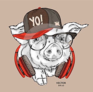 A painted funny pig with glasses and a hip hop cap. Vector illustration. It can be used as a print on clothes or as part of the de