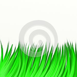 Painted grass