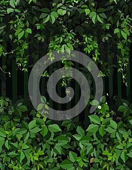 Painted green fence background with plants bottom and top