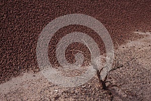 Painted Hills Abstract Landscape